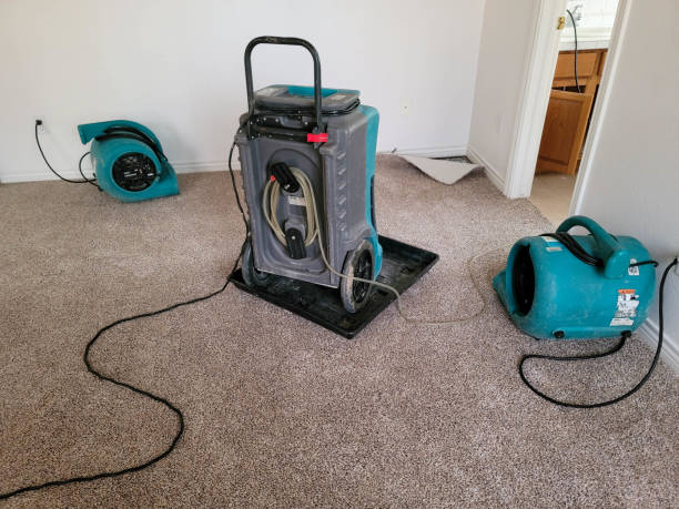 Best Water damage restoration mold remediation  in Coopersburg, PA