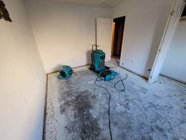 Best Sewage cleanup and water damage restoration  in Coopersburg, PA