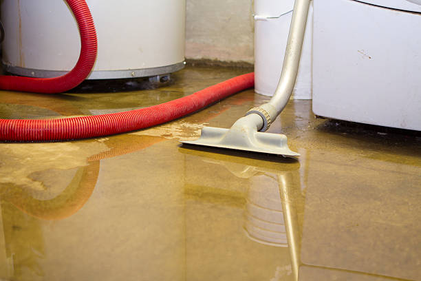 Best Ceiling water damage repair  in Coopersburg, PA