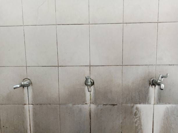 Best Water damage restoration experts  in Coopersburg, PA