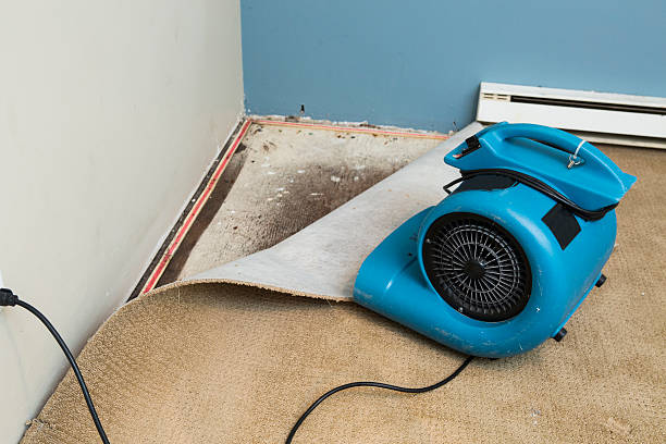 Best Carpet water damage restoration  in Coopersburg, PA